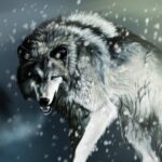 Разводът в бизнеса или защо  съдружията се разпадат?