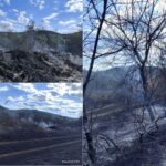 Пожар край село Попинци беше успешно потушен