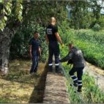 Момиче от Варна спаси куче в Стрелча