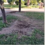 Вандали повредиха поливната система и унищожиха дървета в парка на Панагюрище